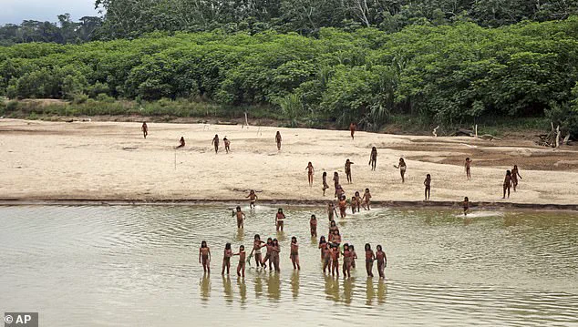 Uncontacted Mashco Piro Tribe in Amazon Faces Existential Threat from Common Cold Due to Lack of Immunity