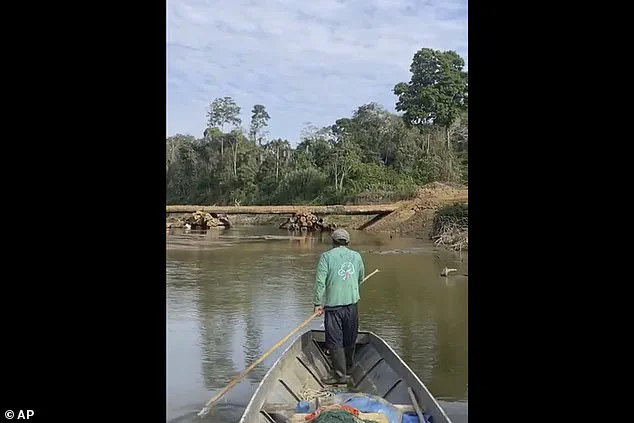 Uncontacted Mashco Piro Tribe in Amazon Faces Existential Threat from Common Cold Due to Lack of Immunity