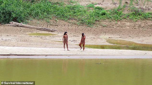 Uncontacted Mashco Piro Tribe in Amazon Faces Existential Threat from Common Cold Due to Lack of Immunity