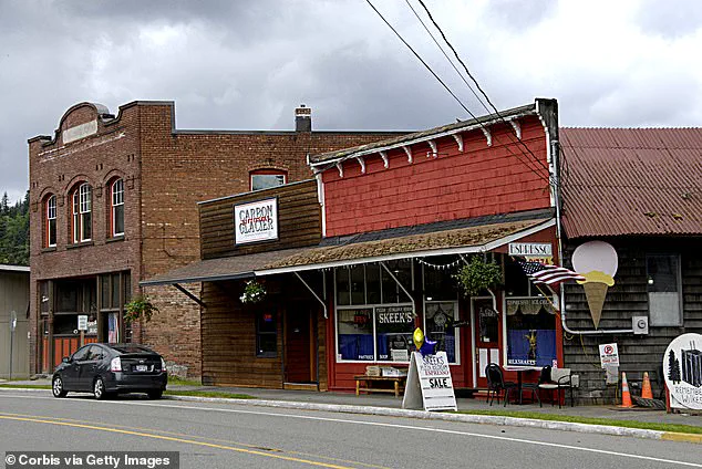 Closure of Vital Bridge Sparks Panic Over Limited Access and Economic Impact