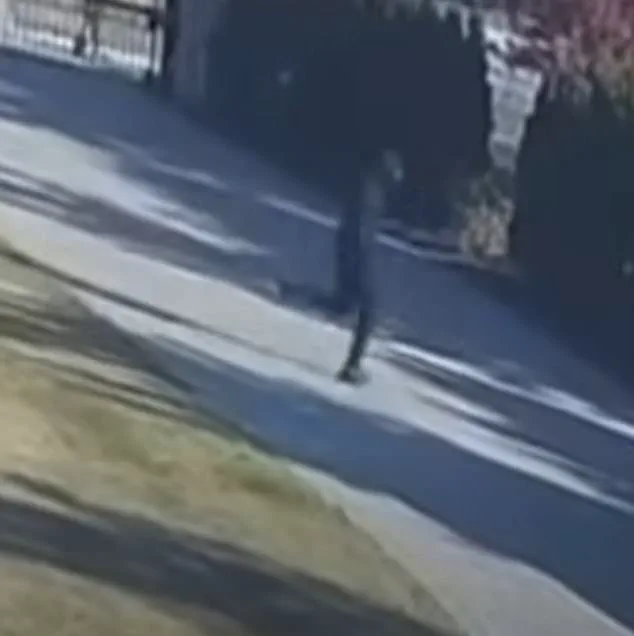 Security Footage Shows Gunman Shooting Arab-American Entrepreneur in Michigan Home