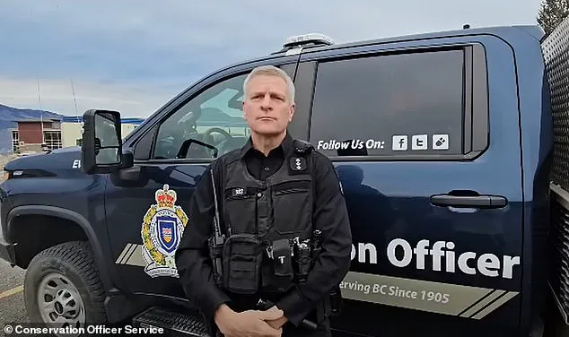 Grizzly Bear Still at Large After Attacking Elementary School in Bella Coola, Canada, Leaving 11 Injured