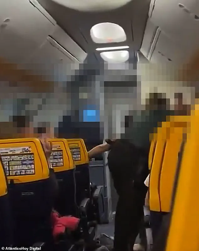 Irish MMA Fighter Arrested Over Alleged Altercation with Spanish Police on Ryanair Flight