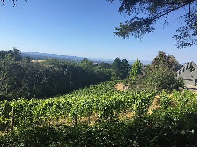 Sebastopol's Identity at Risk Amid Scrutiny