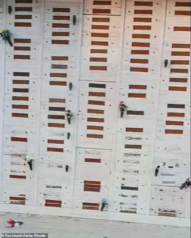 Behind Closed Gates: The Looting of a Historic Cemetery and the Fight for Its Legacy