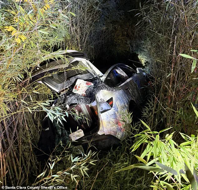 Billionaire Entrepreneur's Napa Valley Incident Sparks Public Safety and Legal Scrutiny