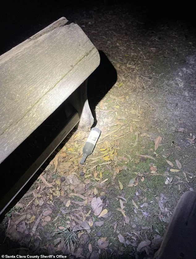 Billionaire Entrepreneur's Napa Valley Incident Sparks Public Safety and Legal Scrutiny