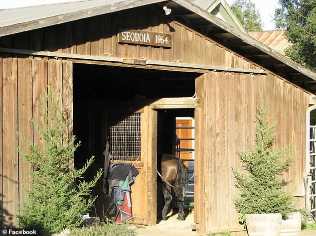 Billionaire Entrepreneur's Napa Valley Incident Sparks Public Safety and Legal Scrutiny