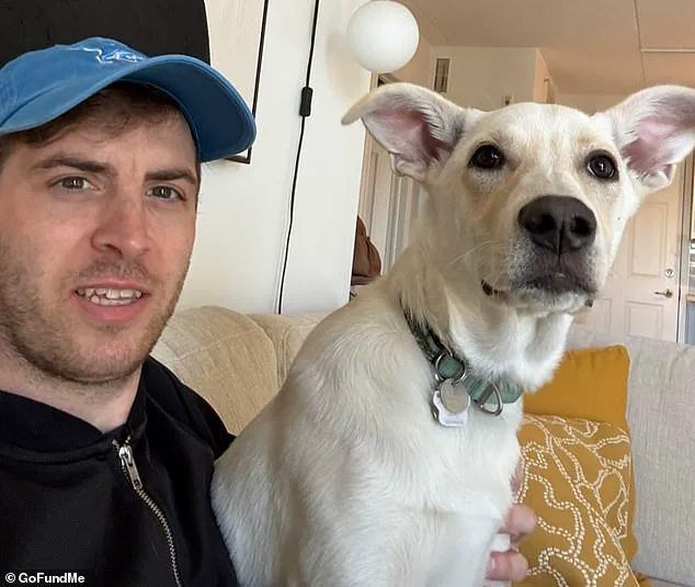 British Expatriate Luke Kellett-Smith Allegedly Killed in Street Altercation, Sparking Community Outcry and Calls for Safety Reforms