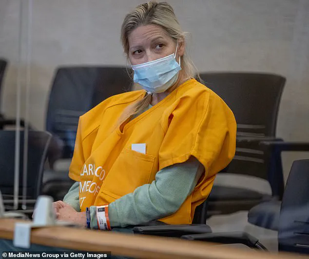 Exclusive: Inside the Secret Legal Battle of the Infamous 'Party Mom' Accused of Hosting Wild Parties with Alcohol and Sexual Activity