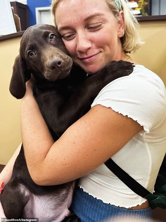 Exclusive: Witness Accounts Reveal Shocking Details of Pittsburgh Electrical Incident