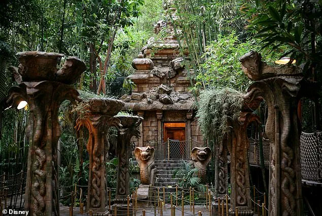 Father Injured in Disneyland Altercation Over Line-Cutting Sparks Safety Debate