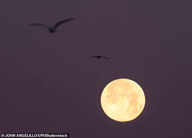 San Francisco in Crisis as Super Moon Trifecta Sparks Worst Storm Surge in Decades, Residents Describe 'Chaos and Desperation'