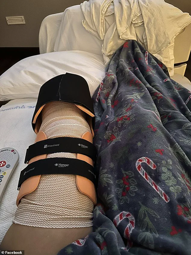 Expert Advisories on Pet Safety Gain Urgency After Woman's Severe Attack