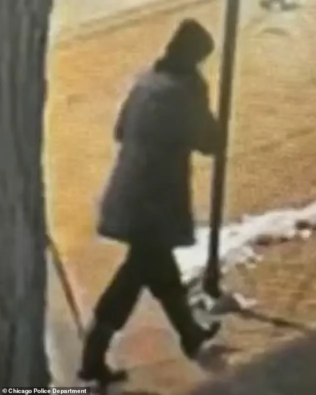 Tragedy Concludes 10-Day Search: Body of Special Education Teacher Linda Brown Recovered from Lake Michigan