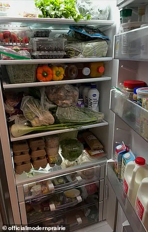 What's in Melissa Gilbert's Refrigerator? Exclusive Access to a Polarizing Secret