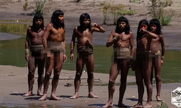 Unprecedented Footage of the World's Largest Uncontacted Tribe Captured by Conservationist Paul Rosalie, Sparking Concerns Among Experts