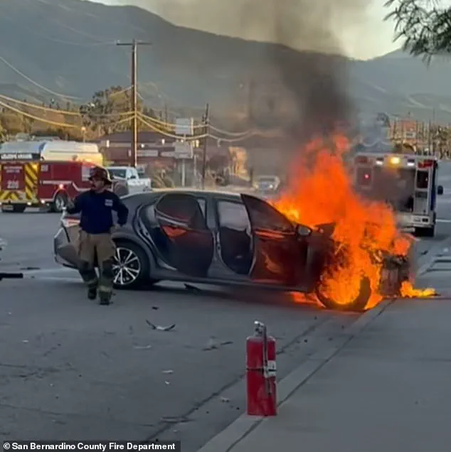 Family of Laura Teniz: 'She Was the Heart of Our Home' After Tragic Speeding Accident Claims Her Life