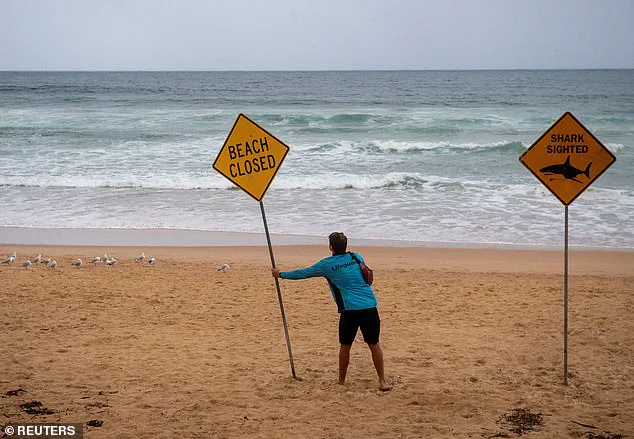 Shark Attacks Prompt Lockdown on Sydney's Northern Beaches After Three Incidents in 26 Hours, Including Two Involving Children