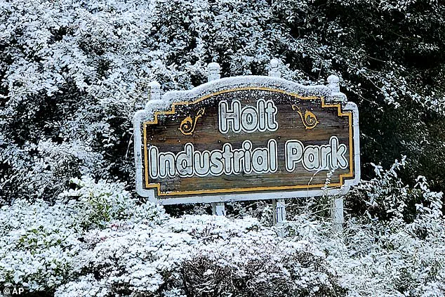 Unprecedented Winter Storm Challenges Government Emergency Response Across 18 States