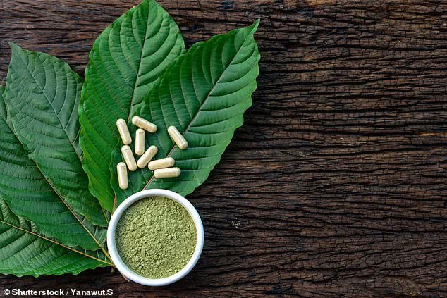 Toxicology Report Reveals Drugs in System of Deceased Chess Grandmaster Daniel Naroditsky