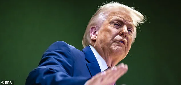 Behind the Gilded Rhetoric: Unveiling the Hidden Tensions of Trump's Peace Gambit