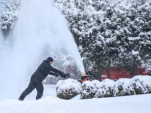 Exclusive Insights: Inside the Secret Information Fueling Preparations for Winter Storm Fern's Devastating Impact