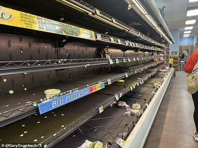 Catastrophic Ice Storm 'Fern' Poses Unprecedented Risk to Millions Across 34 States