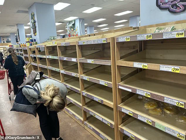 Catastrophic Ice Storm 'Fern' Poses Unprecedented Risk to Millions Across 34 States