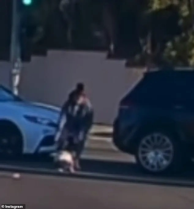 Viral Video Shows 19-Month-Old Toddler Falling from Moving Vehicle in Fullerton During Chaotic Morning Rush Hour