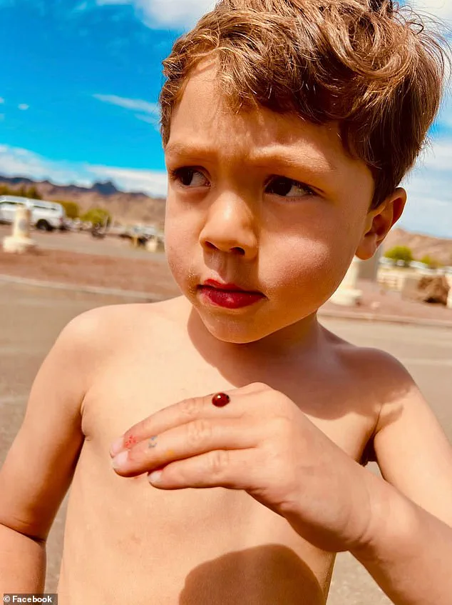 Legal Battle Over Suspended License Highlights Public Safety Concerns in Hit-and-Run Case