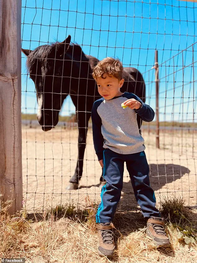 Legal Battle Over Suspended License Highlights Public Safety Concerns in Hit-and-Run Case