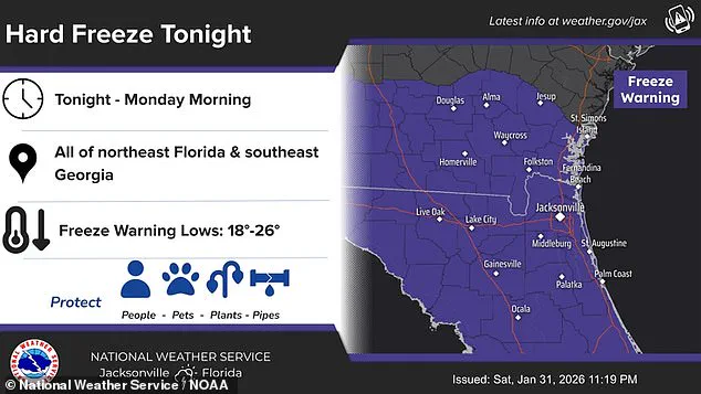 Florida's Unprecedented Cold Snap: Record-Breaking Storm Disrupts Life, Sparks Resilience Concerns
