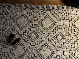 Privileged Eyes: The Hidden Orange Cat in the Viral Snowy Backyard Photo