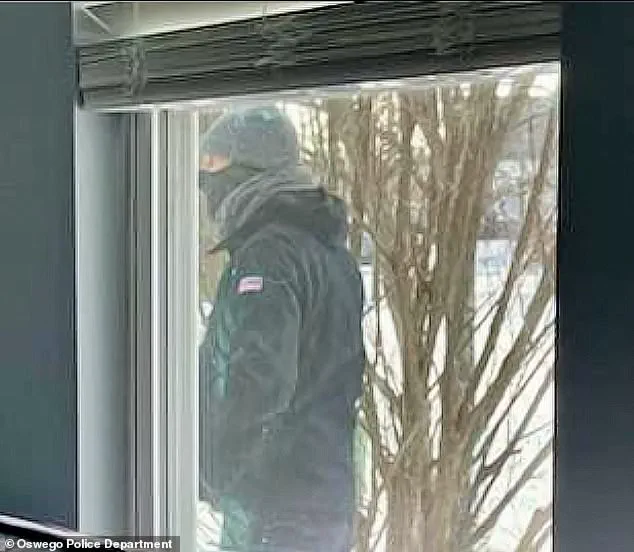 Chilling Home Video Captures Husband's Horror as Wife's Ex-Partner Fatally Stabs Her in Illinois