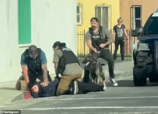 From ICE Raid Claims to Police Operation: The Viral Video's Misunderstanding and Social Media's Role