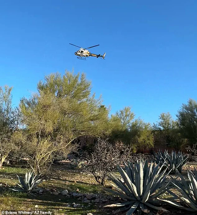 Expert Warns Abduction of 84-Year-Old Nancy Guthrie May Involve Multiple Perpetrators