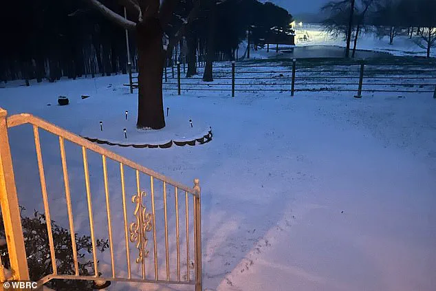 Homeless Man Survives Garbage Truck Accident in Jackson, Alabama Winter Storm