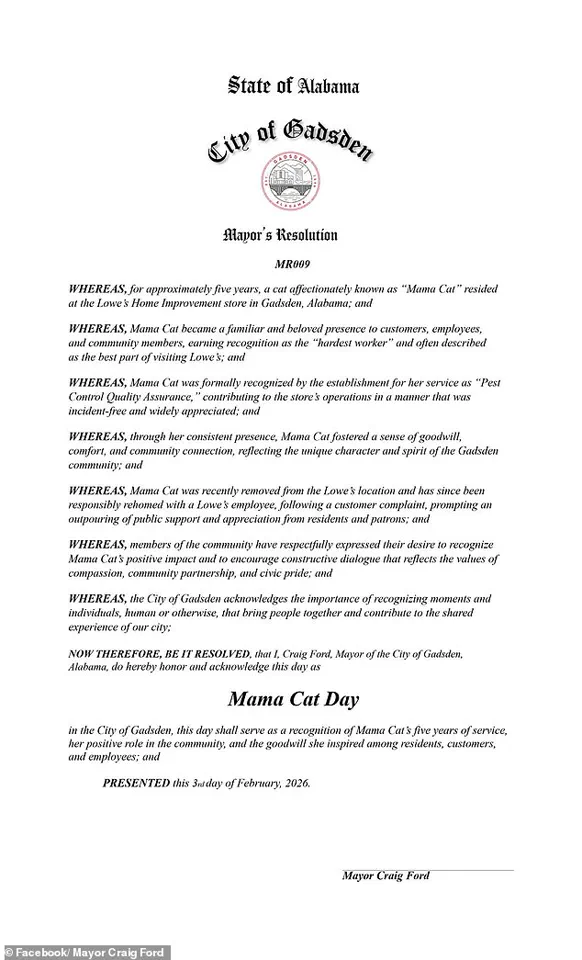 Beloved Lowe's Cat 'Fired' After 5 Years, Sparking Debate Over Corporate Policy and Community Values