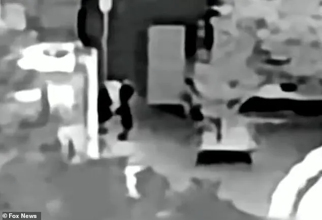 Feds Conduct Third Search of Nancy Guthrie's Home Using Infrared Drones as Disappearance Sparks Concerns