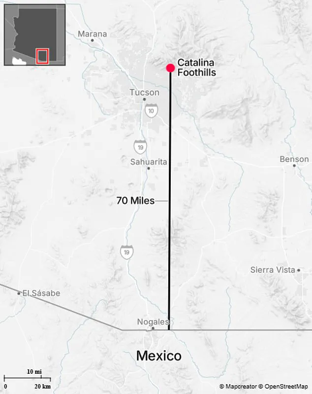 High-Stakes Search for 84-Year-Old Nancy Guthrie Intensifies in Tucson Desert as Authorities Race Against Time