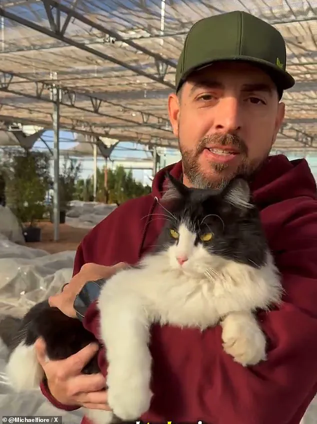 Texas Garden Center's 'Tactical Assault Cat' Sylvester Becomes Viral Sensation After Rat-Catching Feat