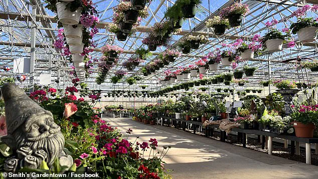 Texas Garden Center's 'Tactical Assault Cat' Sylvester Becomes Viral Sensation After Rat-Catching Feat