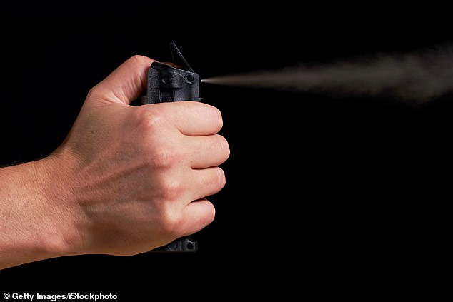 Accidental Pepper Spray Release Triggers Lockdown at Panorama High School, 28 Students Treated