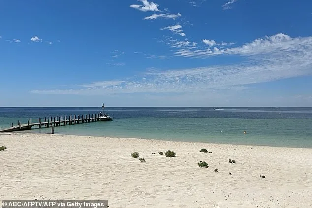 Teen's Desperate Swim and Triple-Zero Call Save Family in Perilous Bay Rescue