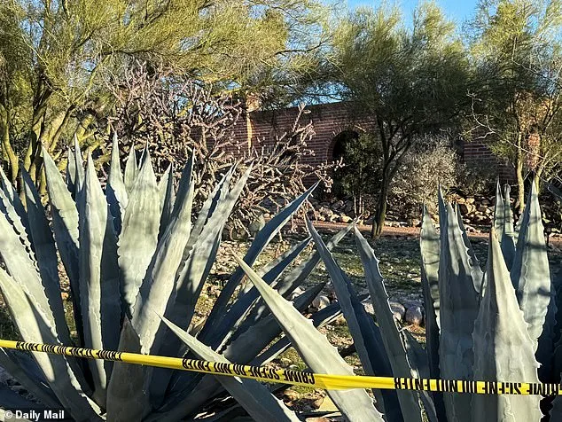 The Nancy Guthrie Case: A Mystery Wrapped in Silence and Stumbling Clues