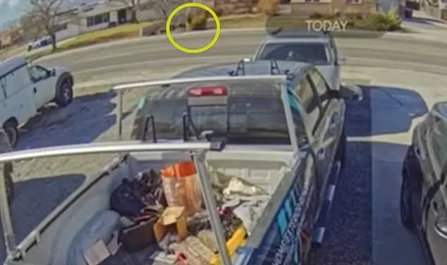 Utah Teen Nearly Abducted by Lyft Driver Sparks Outcry for Ride-Sharing Safety Reforms