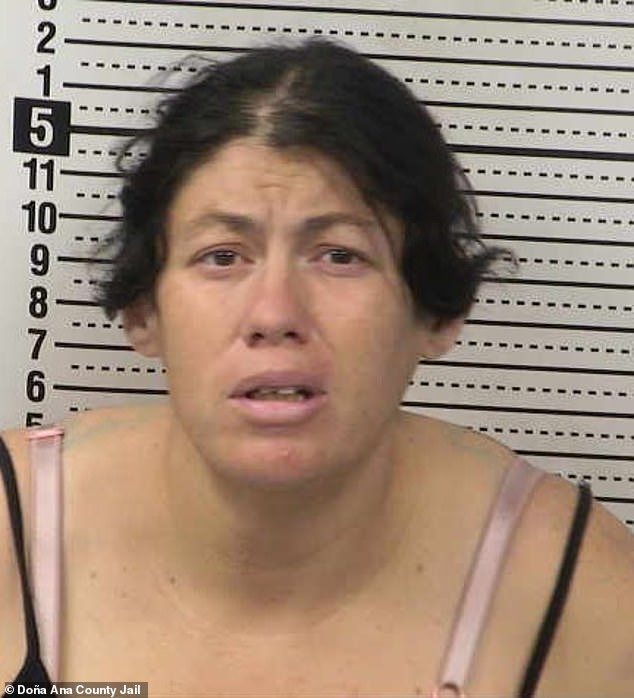 Mother Accused of Leaving Newborn to Drown in Toxic Porta Potty, Faces Felony Charges