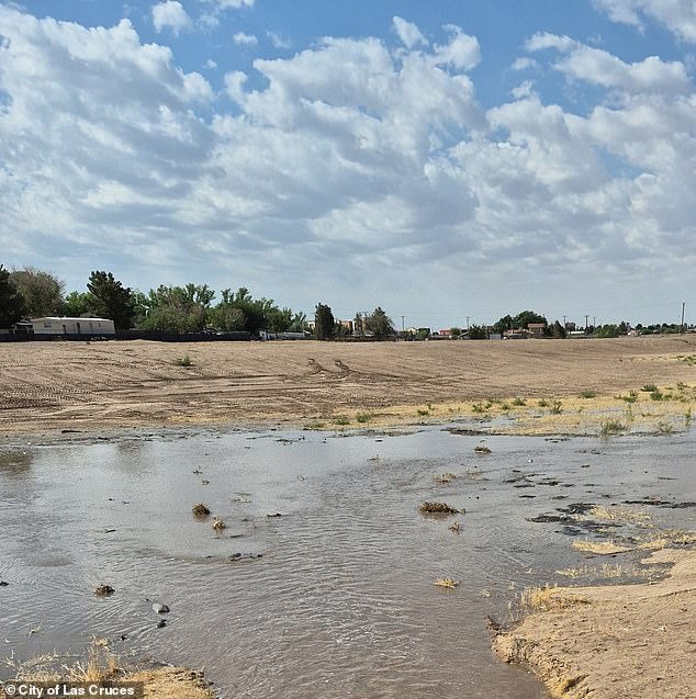 Mother Accused of Leaving Newborn to Drown in Toxic Porta Potty, Faces Felony Charges