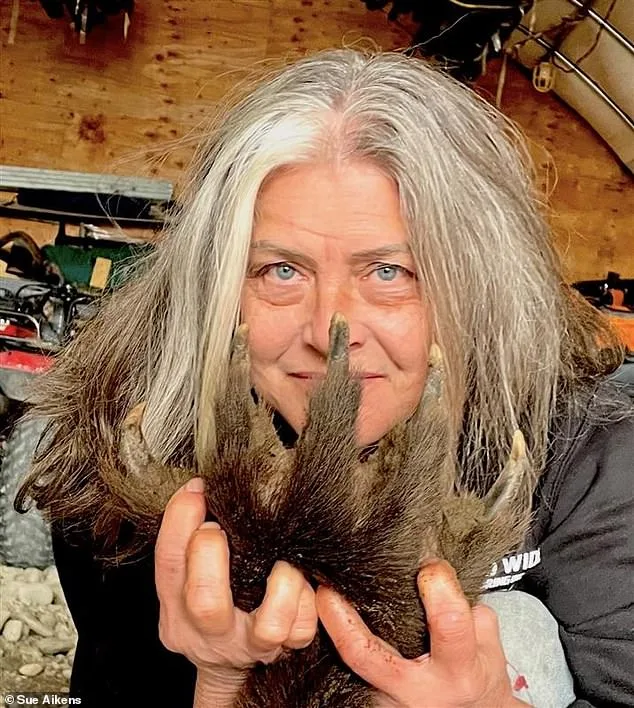 Surviving Grizzly Attacks and Childhood Abandonment: Susan Aikens' Unyielding Spirit in the Alaskan Wilderness